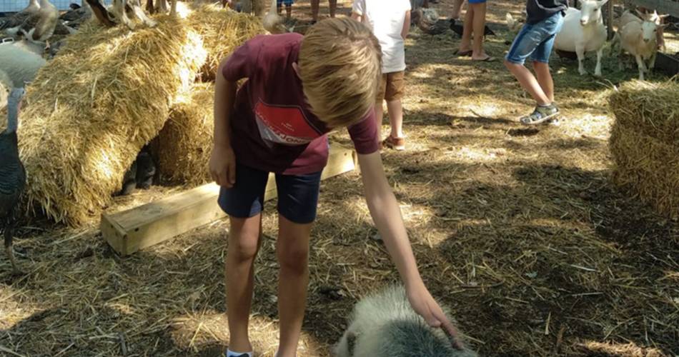Les écuries de Bacchus, la mini ferme du Ventoux@La mini ferme du Ventoux