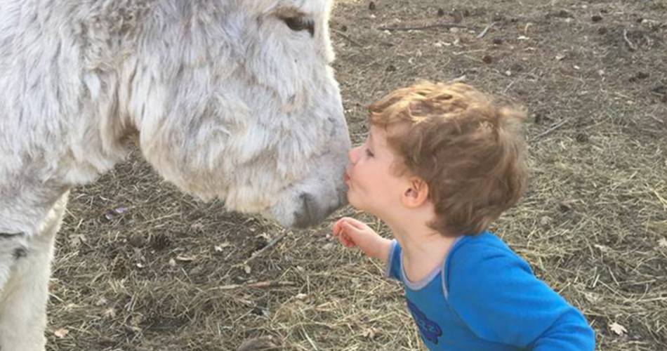 Les écuries de Bacchus, la mini ferme du Ventoux@La mini ferme du Ventoux