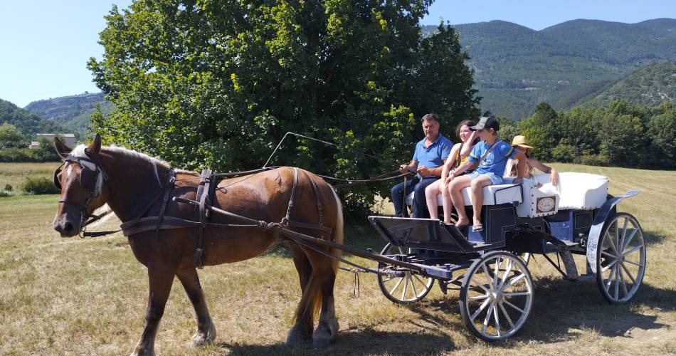 Les écuries de Bacchus, la mini ferme du Ventoux@Ecuries de Bacchus