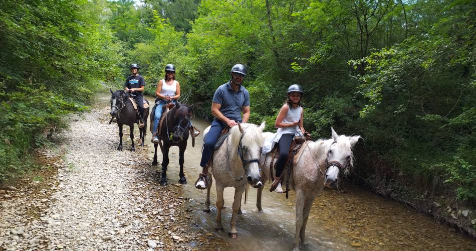 Les écuries de Bacchus, la mini ferme du Ventoux@Ecuries de Bacchus