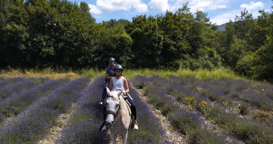 Les écuries de Bacchus, la mini ferme du Ventoux@Ecuries de Bacchus