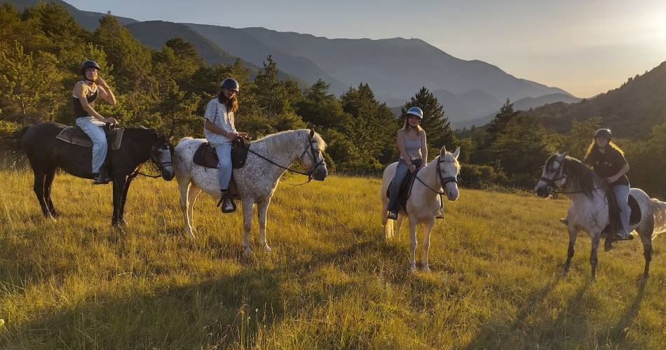 Les écuries de Bacchus, la mini ferme du Ventoux@Ecuries de Bacchus