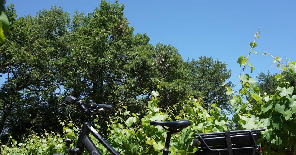 Sun-E-Bike, location vélos et V.A.E@Sun e Bike