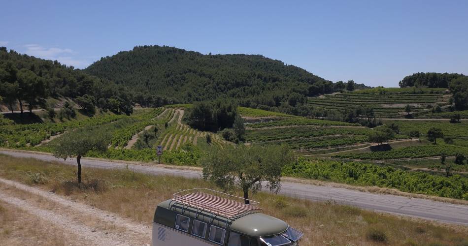 Découverte des vignobles en Combi Volkswagen@Thibault TOUZEAU