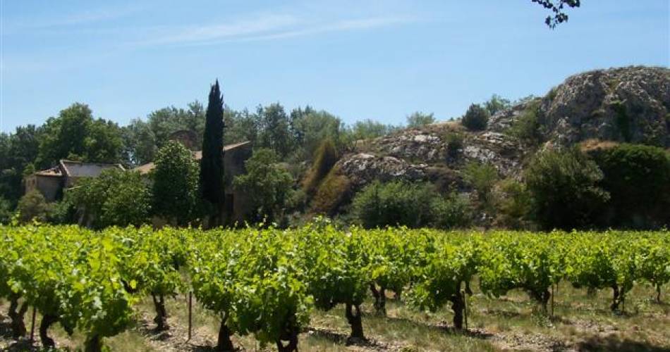 Cycling Itinerary - From the provencal Venice to Châteauneuf du Pape@CCPRO