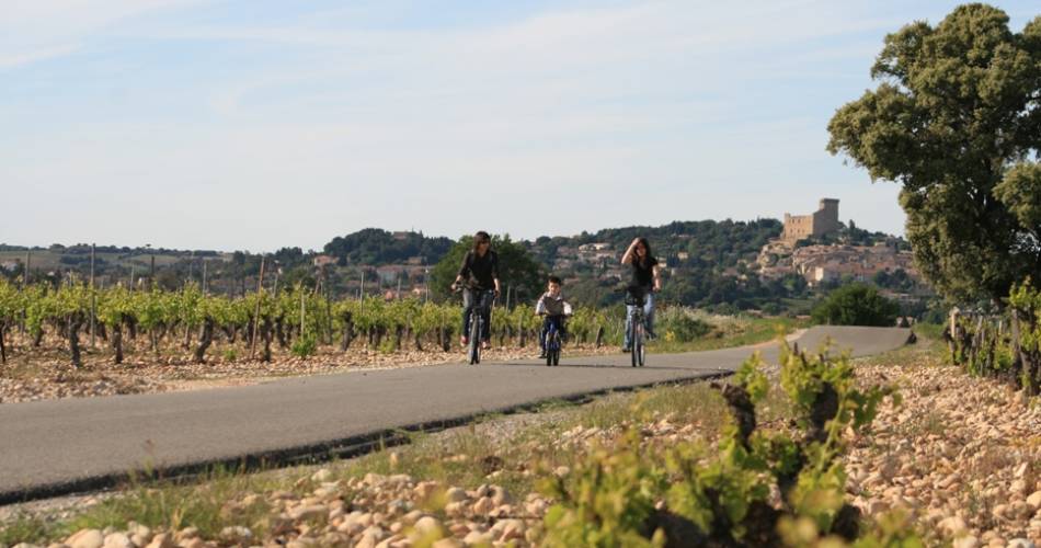 Van het Provençaalse Venetië tot de wijngaard van Châteauneuf du Pape@CCPRO
