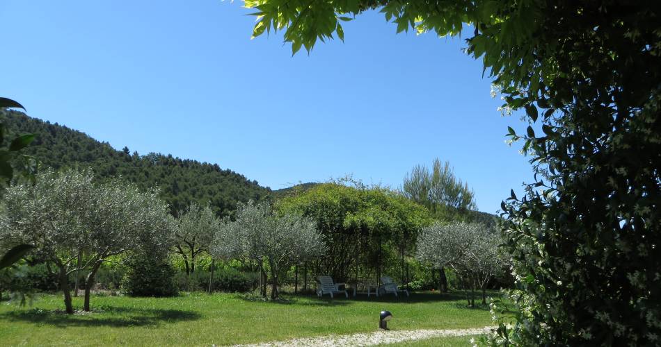 La Glycine Ensoleillée : Gites en Provence@M. Fabre