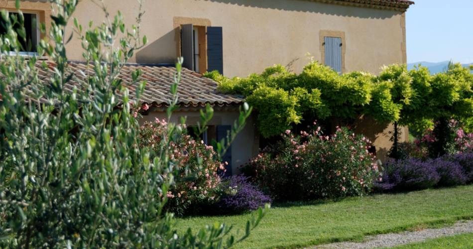 La Glycine Ensoleillée : Gites en Provence@efabre