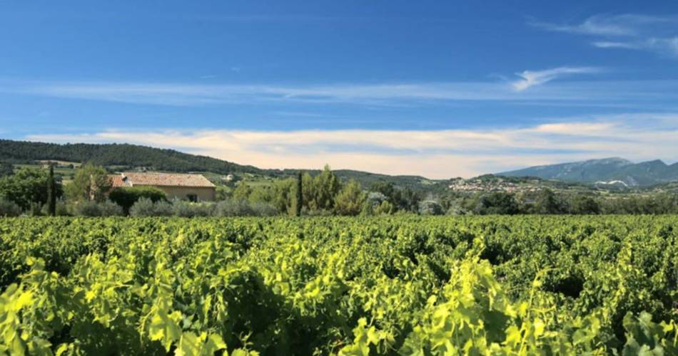 La Glycine Ensoleillée : Gites en Provence@efabre