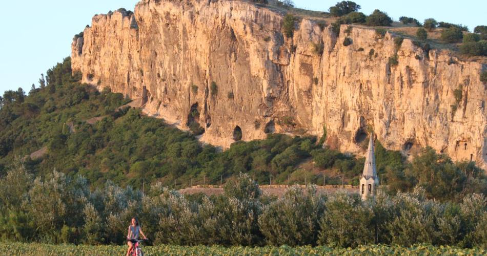 Fietstocht langs de Côtes du Rhône@ADTHV Provence Rhone Ventoux