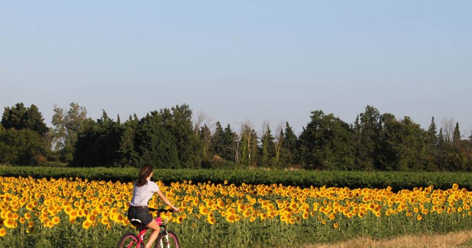 Touring the Côtes du Rhône by bike@ADTHV Provence RHone Ventoux