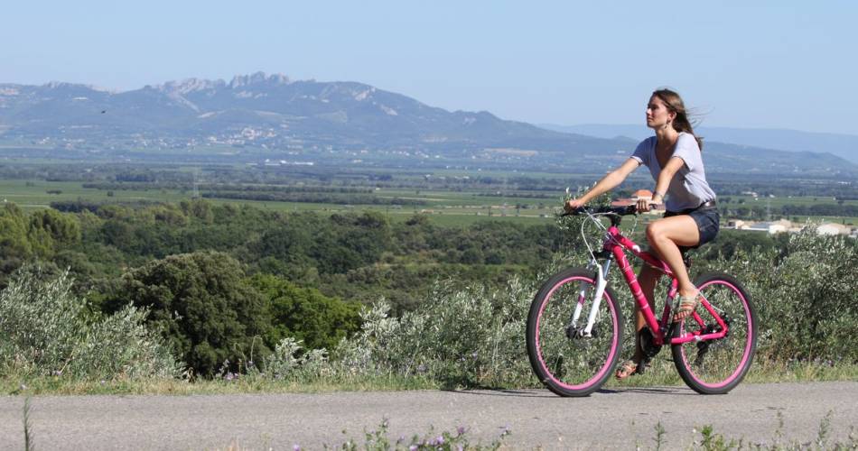 Touring the Côtes du Rhône by bike@ADTHV Provence Rhone Ventoux