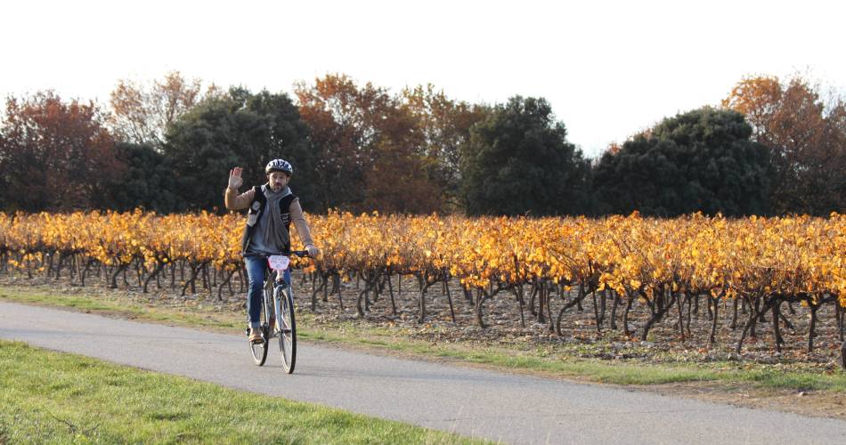 Touring the Côtes du Rhône by bike@ADTHV Provence Rhone Ventoux