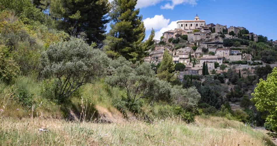 Driving visit: The hilltop villages in the Luberon@HOCQUEL A - VPA