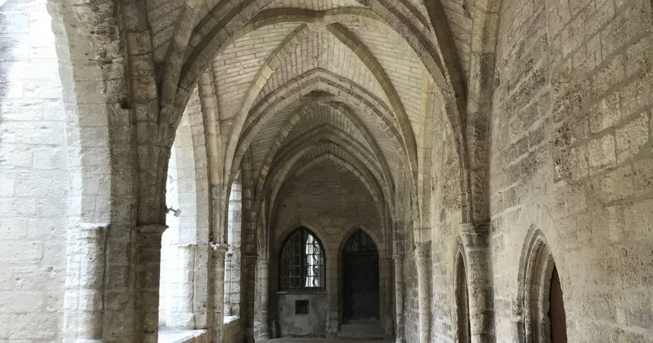 Collégiale Notre-Dame et son cloître@@ Villeneuve lez Avignon