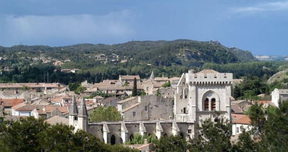 Kapittelkerk Notre-Dame en de bijbehorende kloostergang@@ Office de Tourisme Grand Avignon