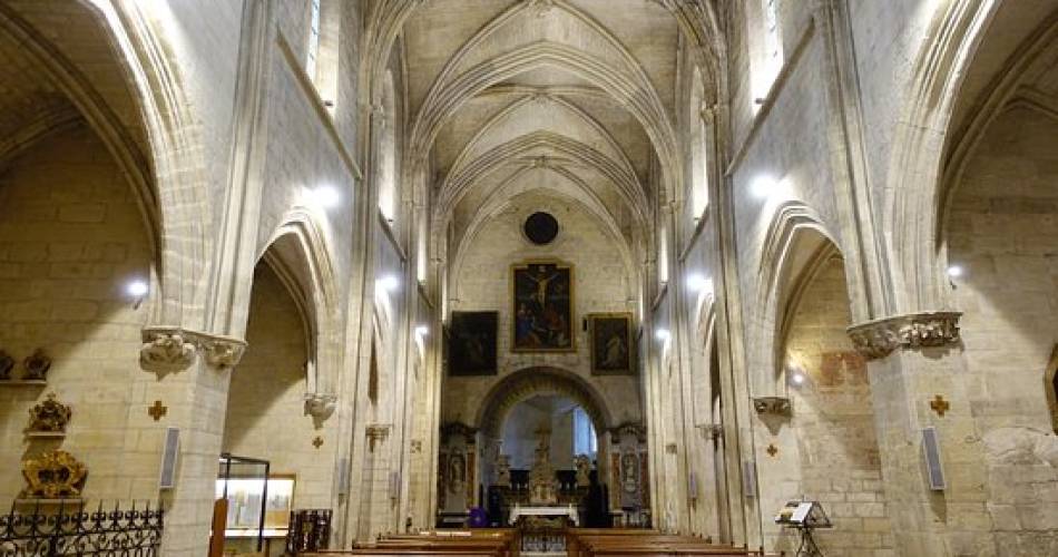 Collégiale Notre-Dame et son cloître@@ Villeneuve lez Avignon