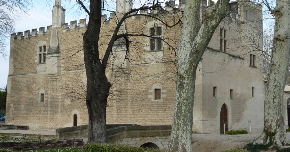 Château de Fargues@©mairiele Pontet