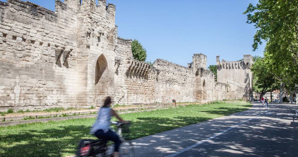 Ramparts around the walled city of Avignon@F Ollivier