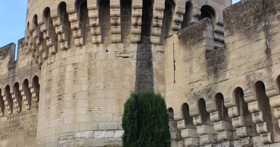 Les Remparts d'Avignon@F Ollivier