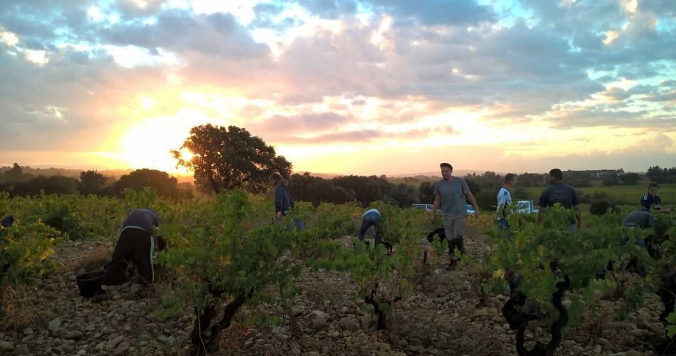 Wine tour and Introduction to biodynamics at Domaine Duseigneur@Domaine Duseigneur