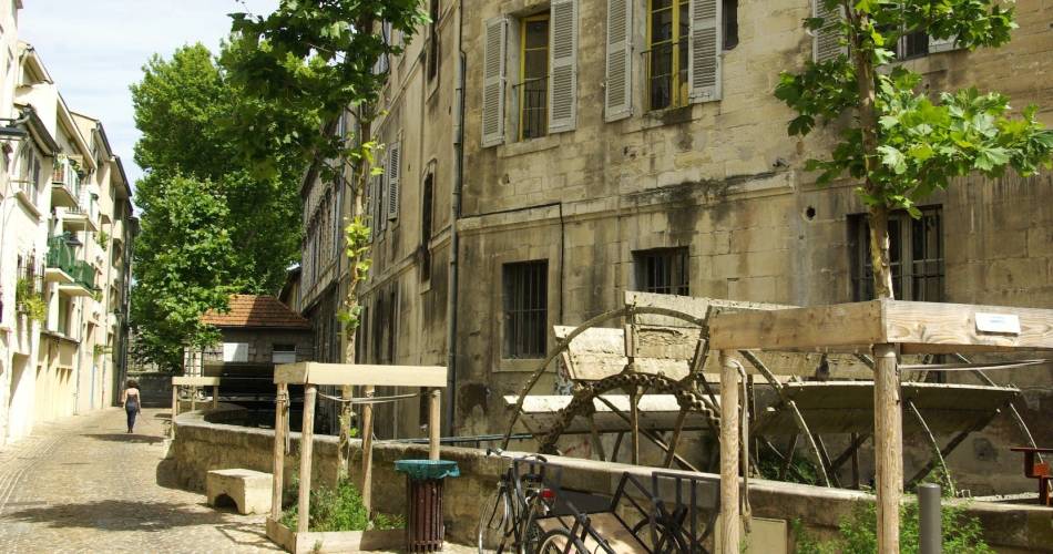 Water wheels of Teinturiers@E Catoliquot / Avignon Tourisme