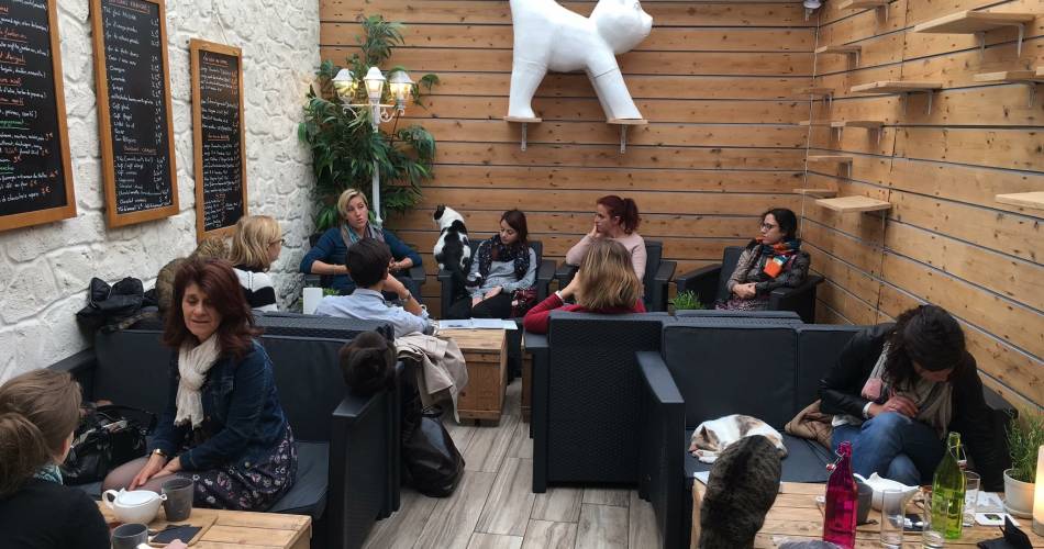 La Compagnie des Chats@©lacompagniedeschats