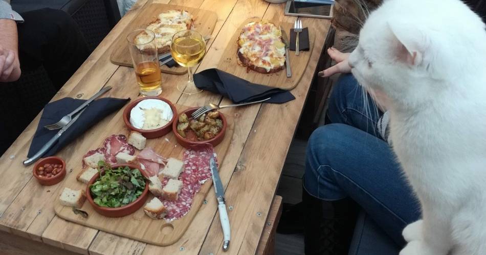 La Compagnie des Chats@©lacompagniedeschats