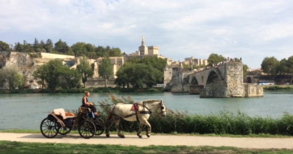 Avignon Calèches@©jeangerardborel