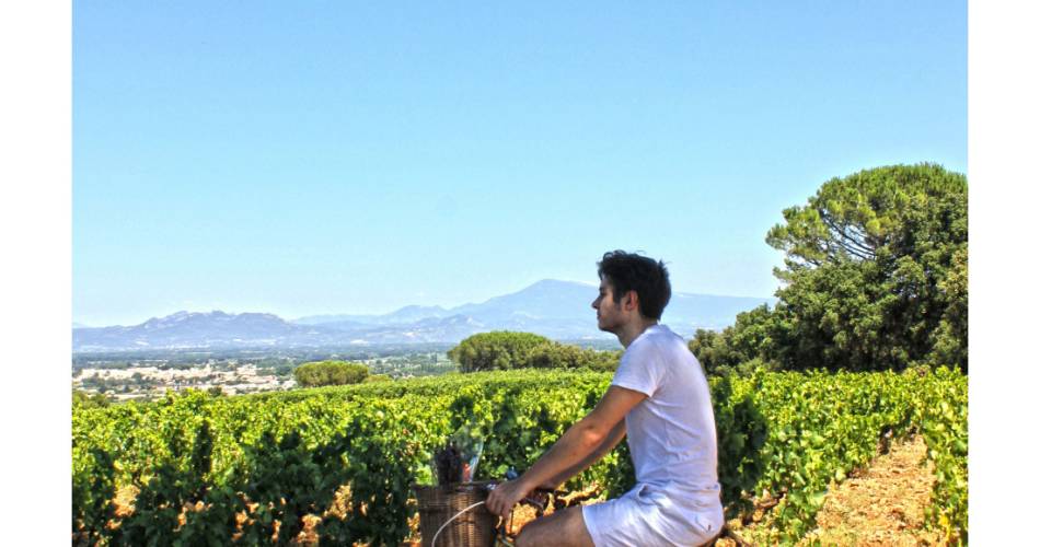 Rando-Vélo Gourmande dans le vignoble de Châteauneuf-du-Pape@© Rando vélo - Cellier des Princes