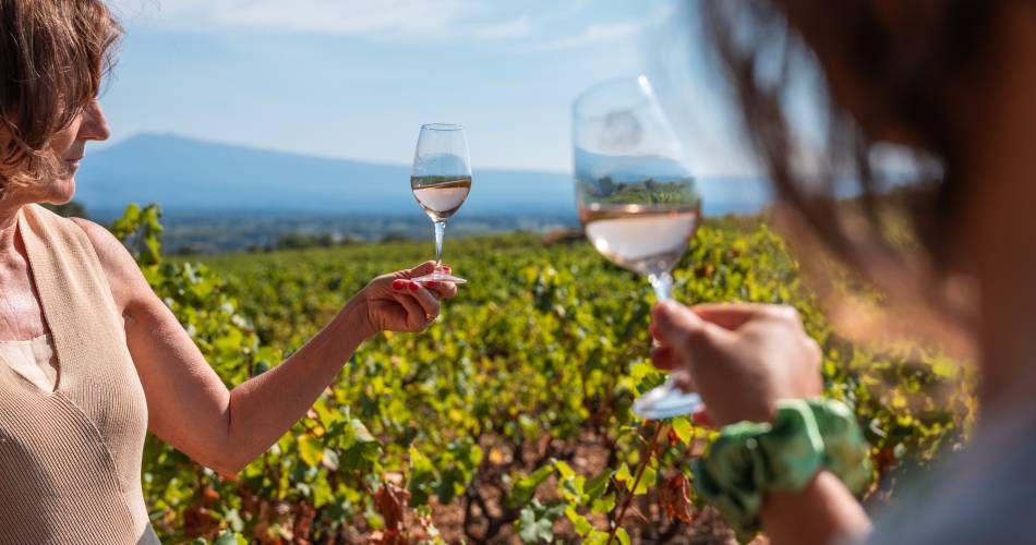 Bike ride into the vineyards of Châteauneuf-du-Pape@Cellier des Prince - Jeff Habourdin Photographe
