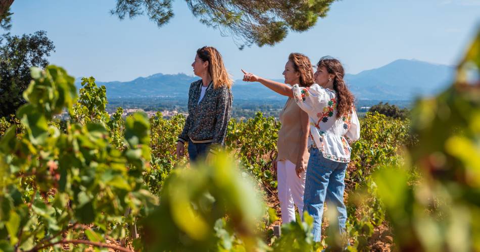 Bike ride into the vineyards of Châteauneuf-du-Pape@Cellier des Prince - Jeff Habourdin Photographe