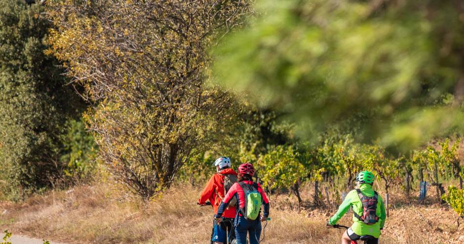 Bike ride into the vineyards of Châteauneuf-du-Pape@Cellier des Prince - Jeff Habourdin Photographe