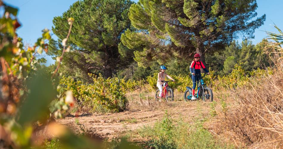 Bike ride into the vineyards of Châteauneuf-du-Pape@Cellier des Prince - Jeff Habourdin Photographe
