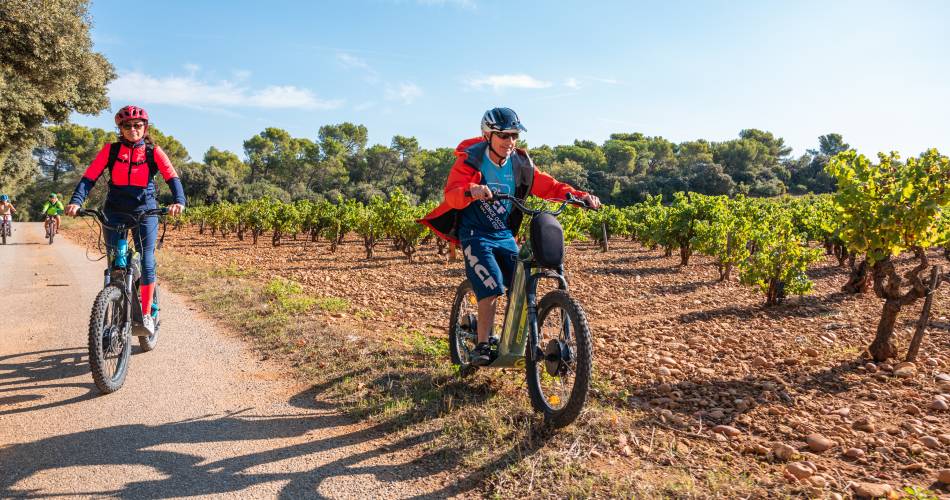 Bike ride into the vineyards of Châteauneuf-du-Pape@Cellier des Prince - Jeff Habourdin Photographe