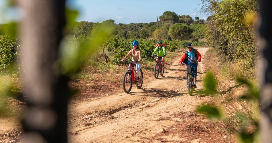 Bike ride into the vineyards of Châteauneuf-du-Pape@Cellier des Prince - Jeff Habourdin Photographe