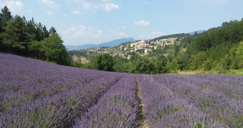 Time 4 Provence@©gordanalauriac