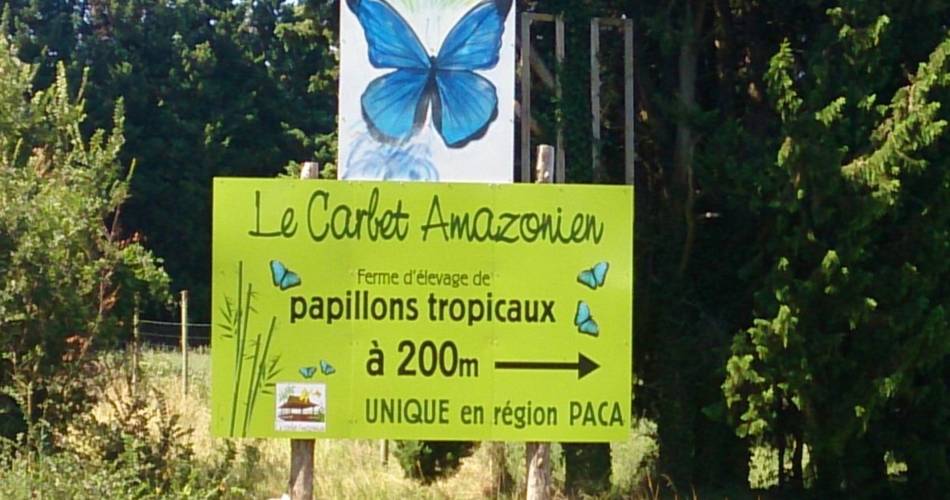 Le Carbet Amazonien@Carbet Amazonien