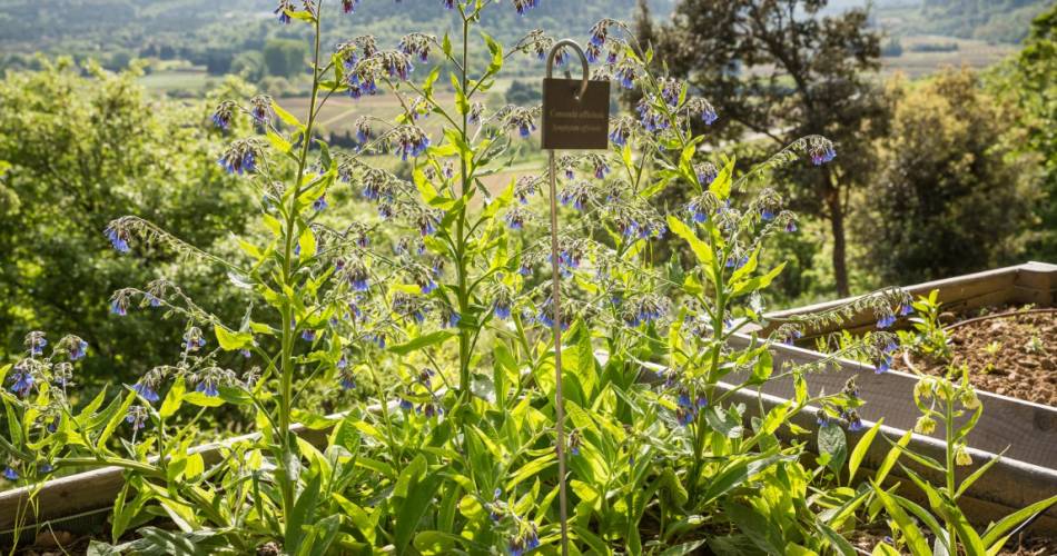 The Citadelle Botanical Garden@Coll. LA Citadelle / Damien Boschi