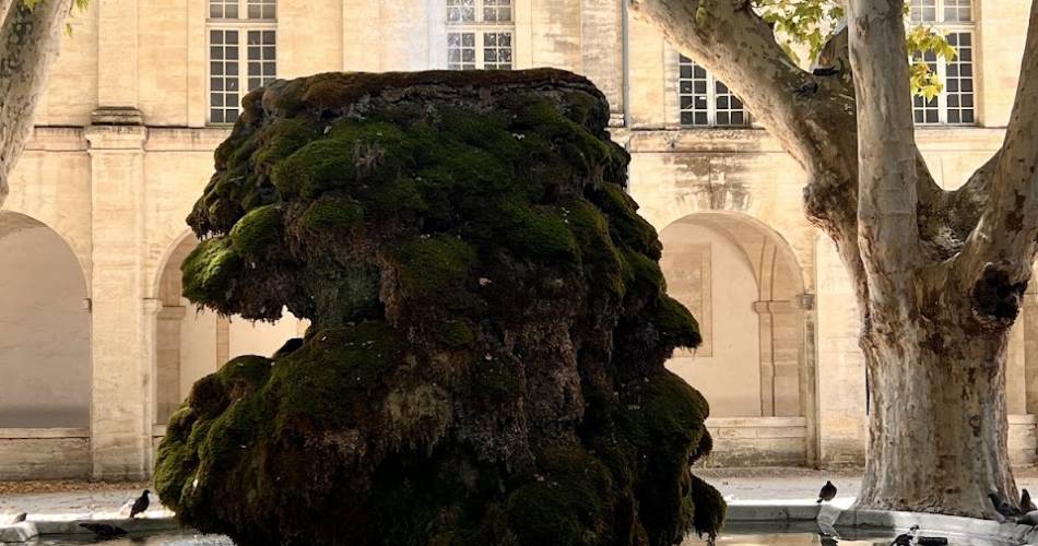 Les Cocottes Saint Louis - Cloître saint Louis@©cloitresaintlouis