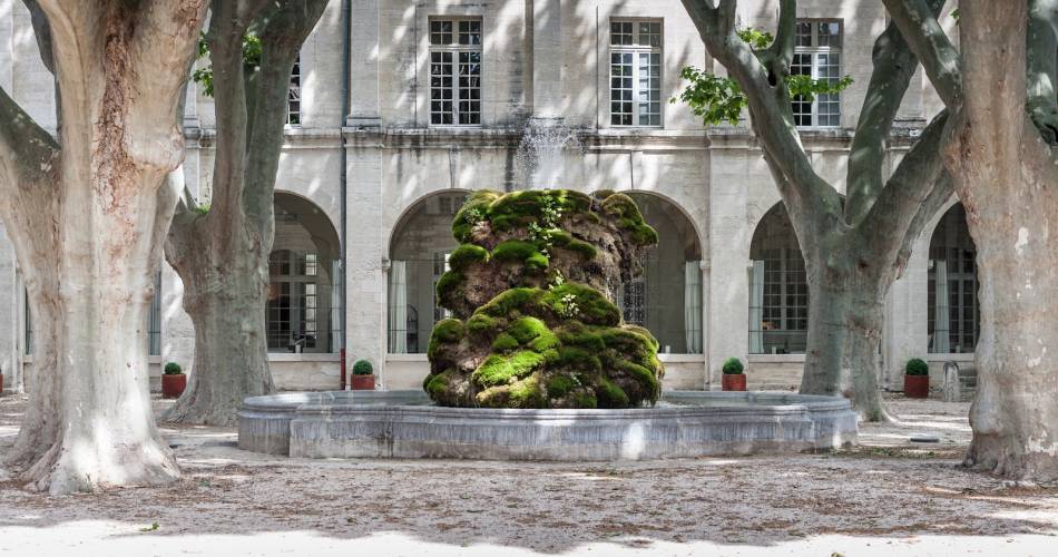 Les Cocottes Saint Louis - Cloître saint Louis@©cloitresaintlouis