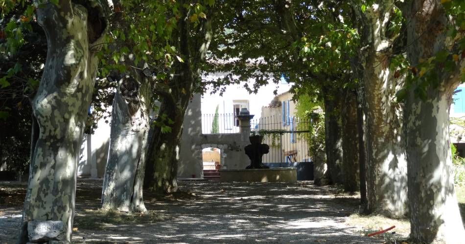 Le Moulin des Ocres - Églantier@© Amélie Mauger et Pierre Porton