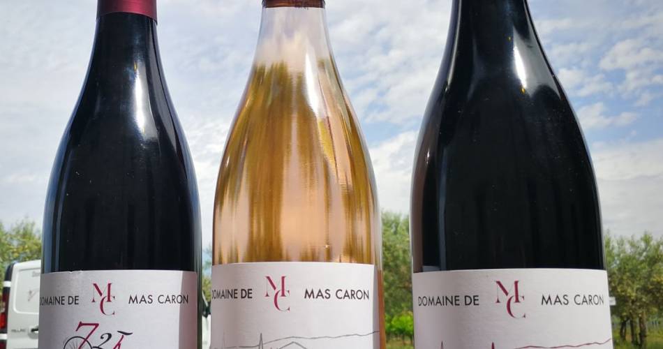 Domaine de Mas Caron – een gezellige gîte@Cerise BOULON