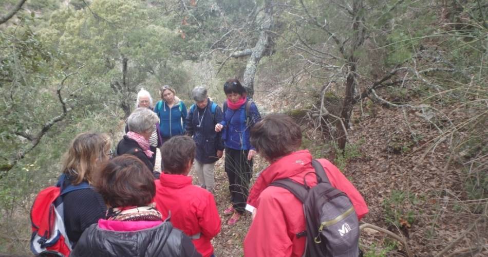 Association Semailles@Association Semailles
