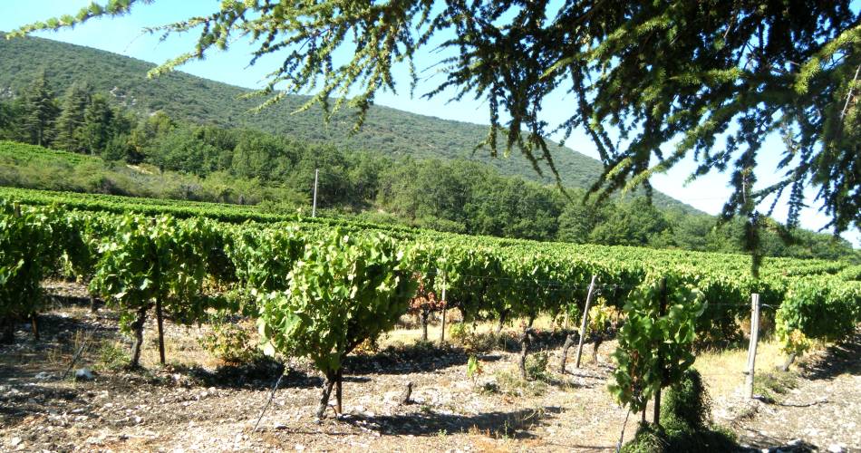 Gîte la petite maison@A. Burgues