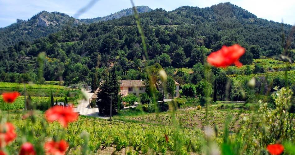 Circuit Oenotouristique du Clos de Caveau@Clos de Caveau