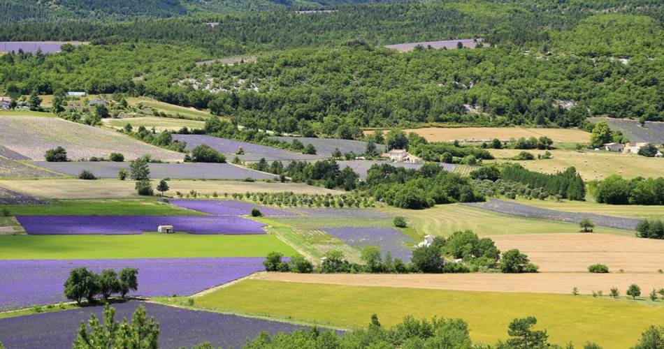 Gite Paradis du Grangeon@MH Gregori