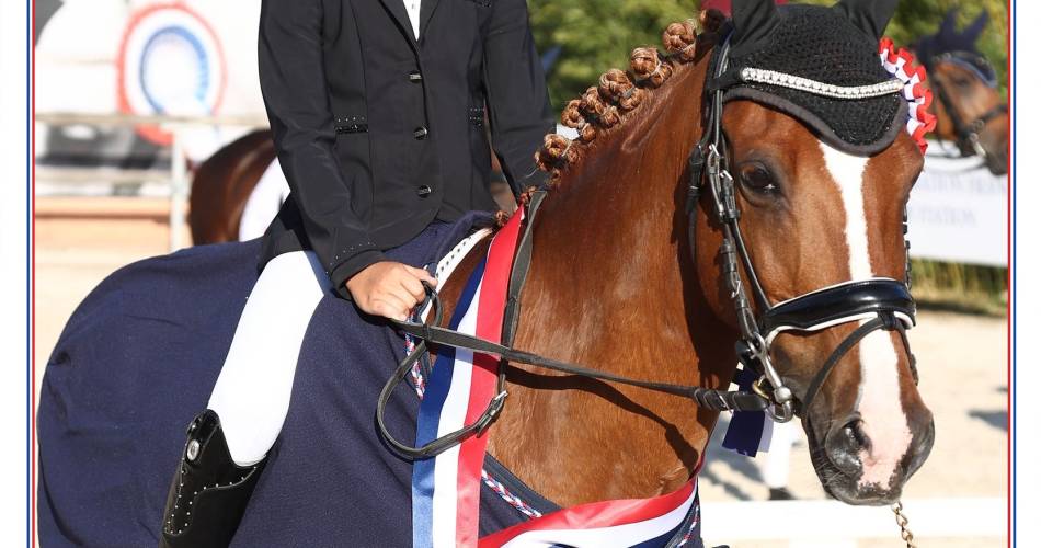 Ecurie des Garances@Ecurie des Garances