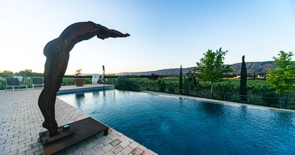 Carignan - Domaine des Peyre@AKTO