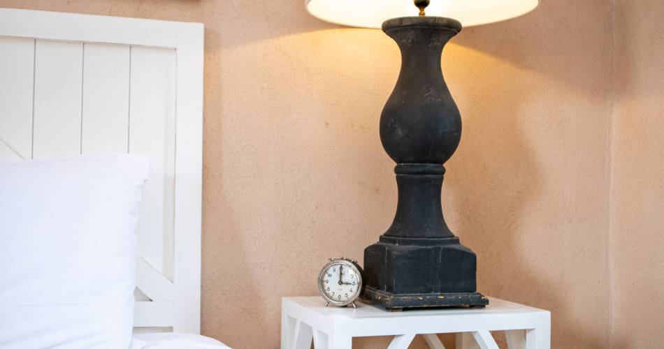 Carignan - Domaine des Peyre@AKTO